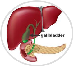 Gallbladder