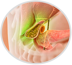 Gallbladder