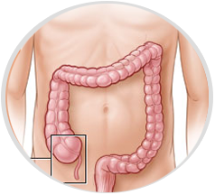 Appendix 